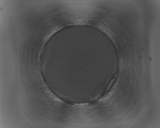 X0000070860673200606231253