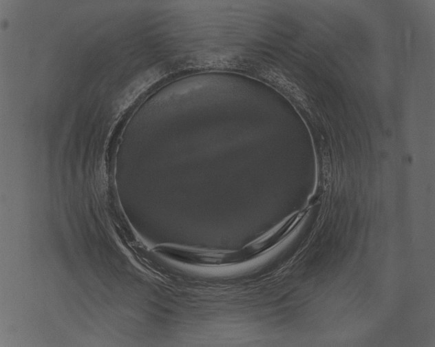 X0000070860674200606231253