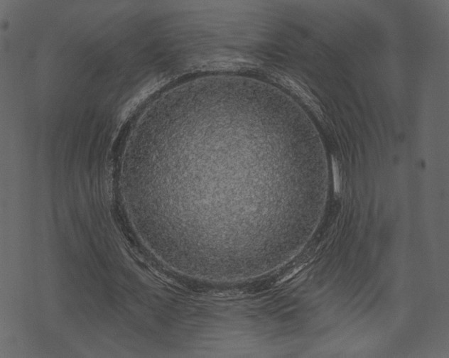 X0000070860675200606231253