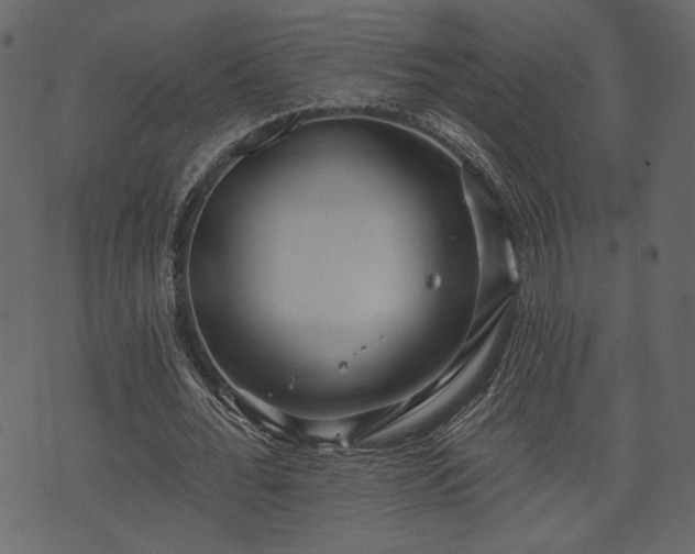 X0000070860676200606231253