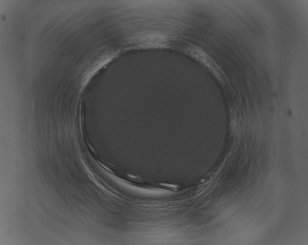 X0000070860677200606231253