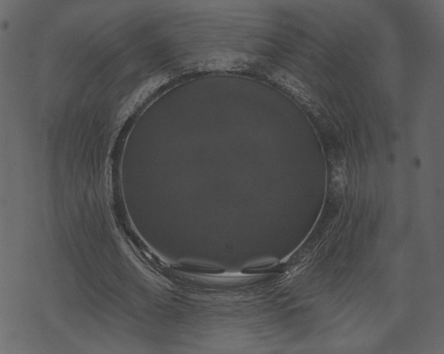 X0000070860678200606231253