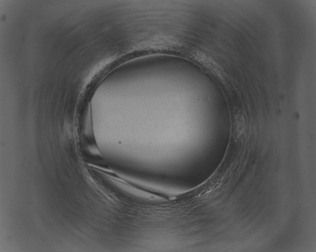 X0000070860680200606231253