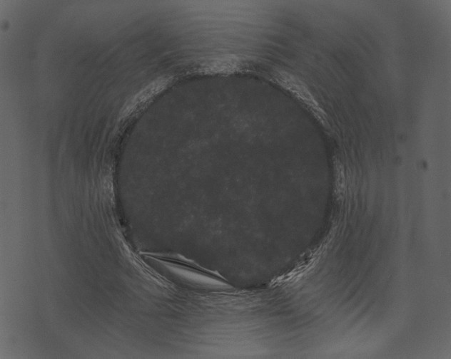 X0000070860681200606231253