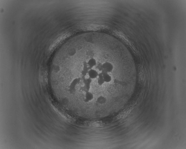 X0000070860683200606231253