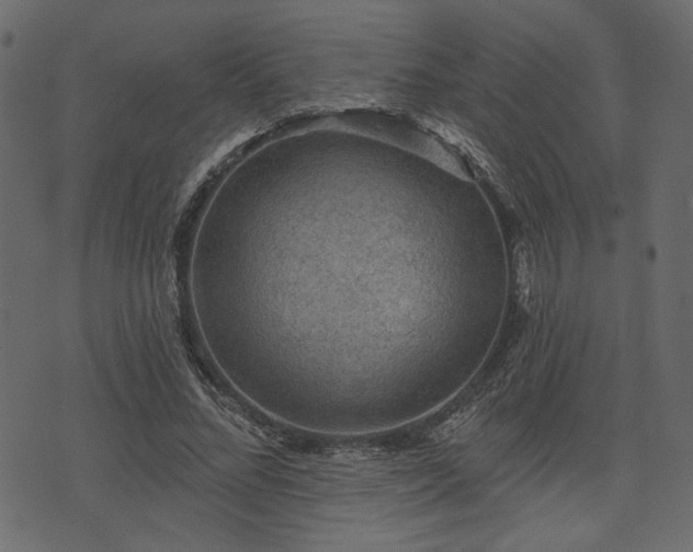 X0000070860684200606231253