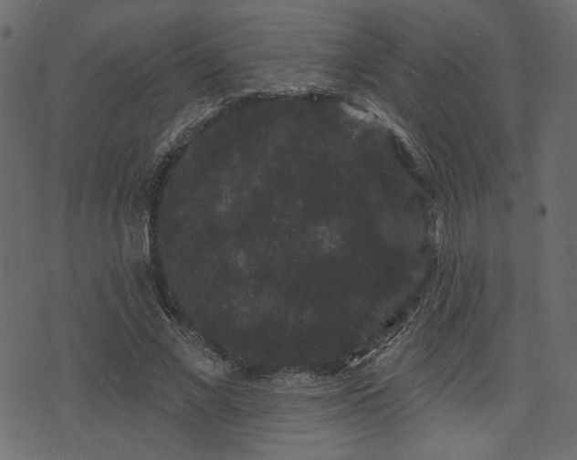 X0000070860685200606231253