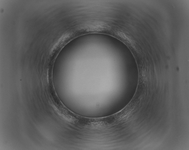 X0000070860686200606231253