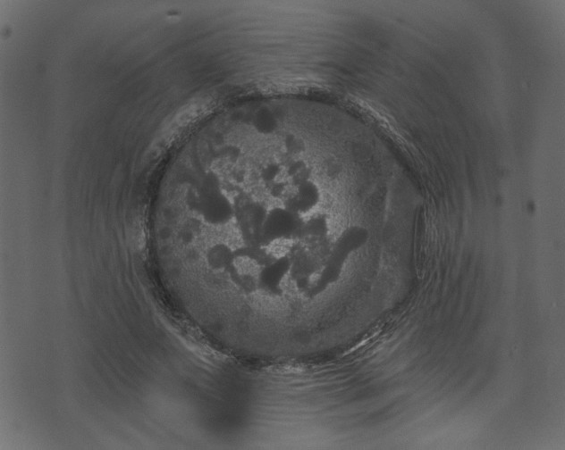 X0000070860687200606231253