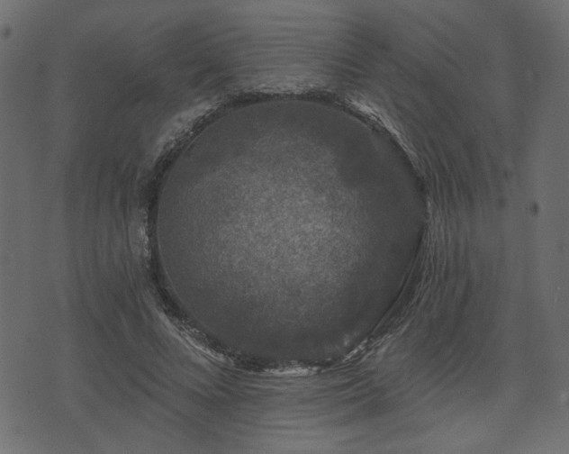 X0000070860688200606231253