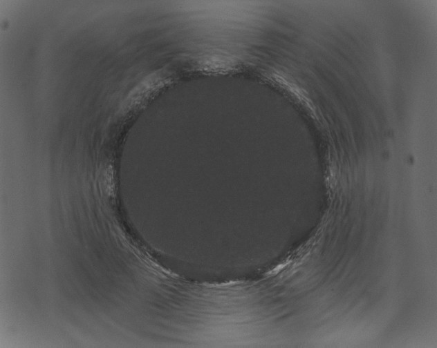 X0000070860689200606231253