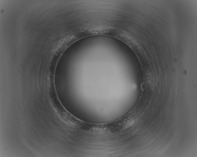 X0000070860690200606231253