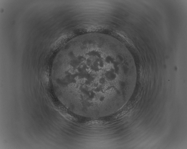 X0000070860691200606231253