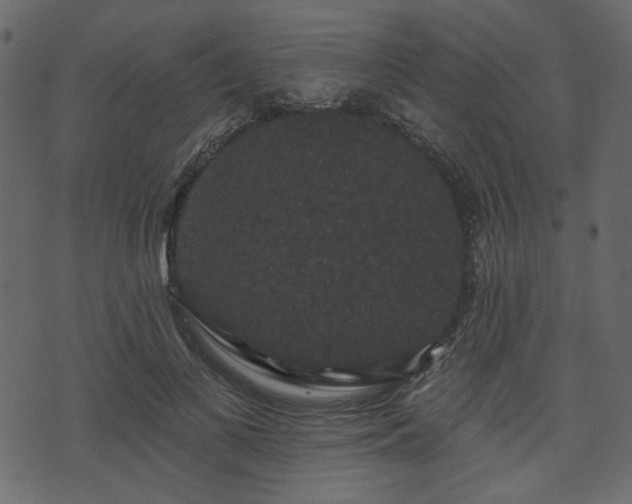 X0000070860693200606231253