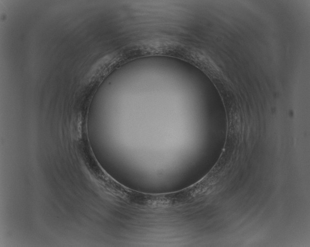 X0000070860694200606231253