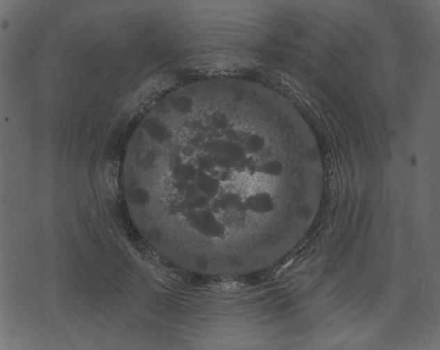 X0000070860695200606231253