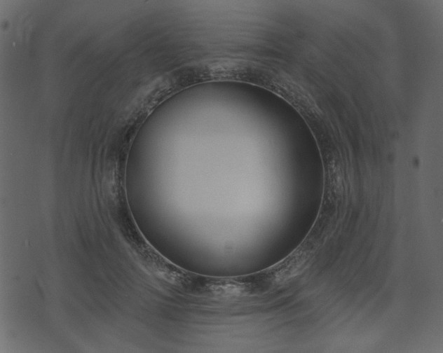 X0000070860698200606231253