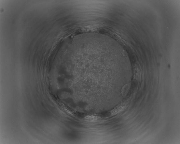 X0000070860699200606231253