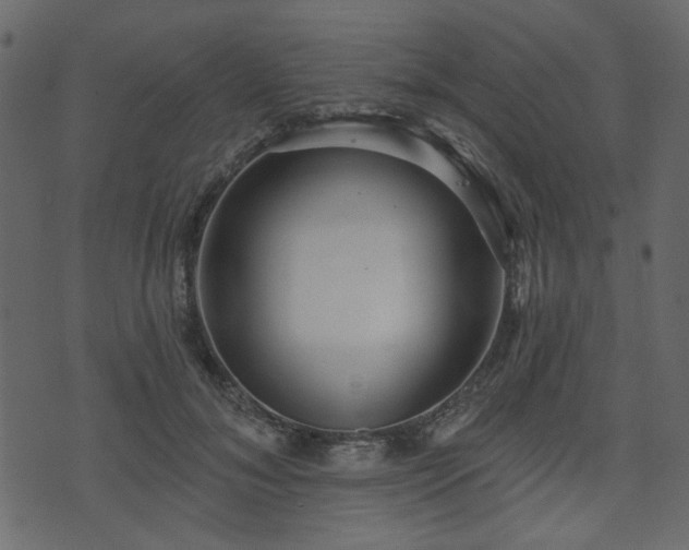 X0000070860700200606231253