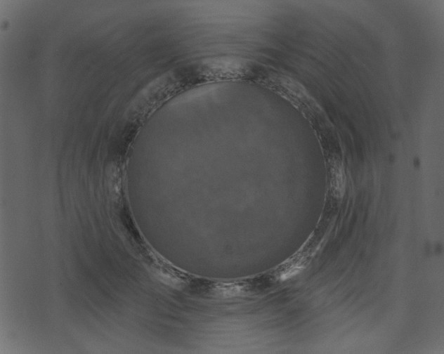 X0000070860701200606231253