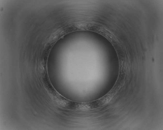 X0000070860702200606231253