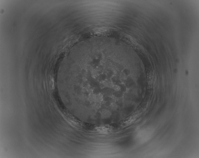 X0000070860703200606231253