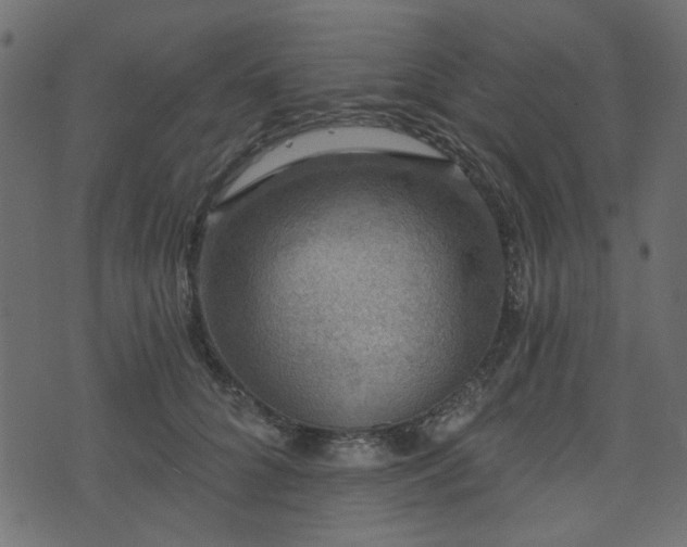 X0000070860704200606231253