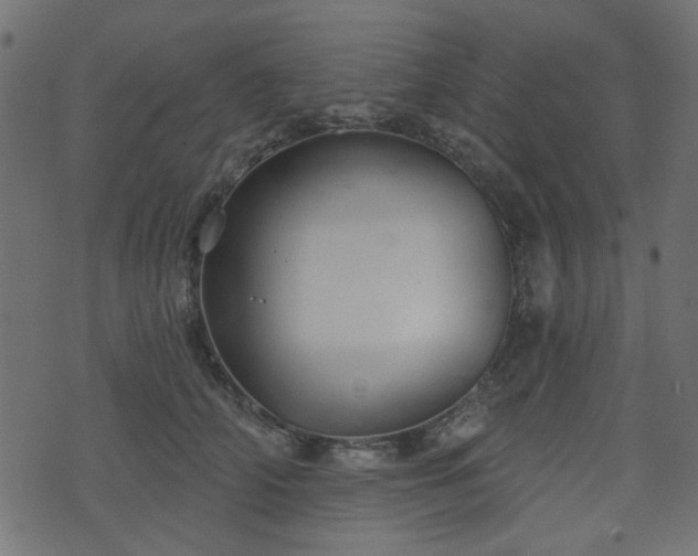 X0000070860706200606231253