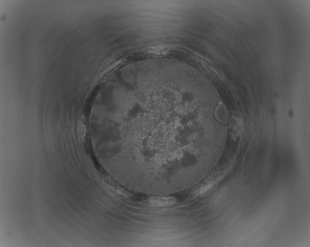 X0000070860707200606231253