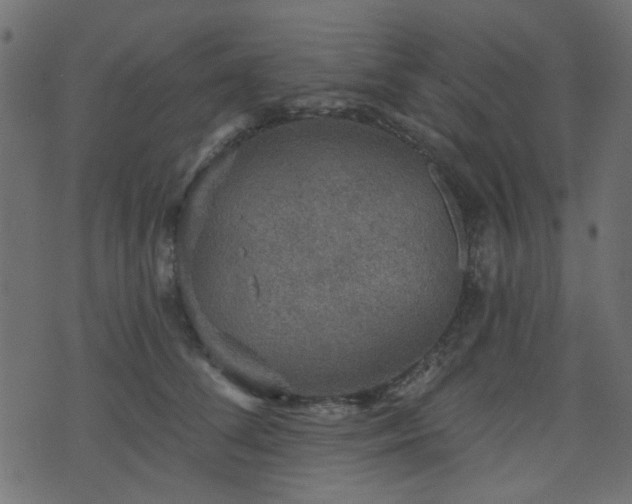 X0000070860708200606231253