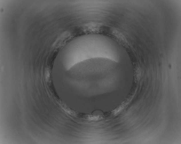 X0000070860709200606231253