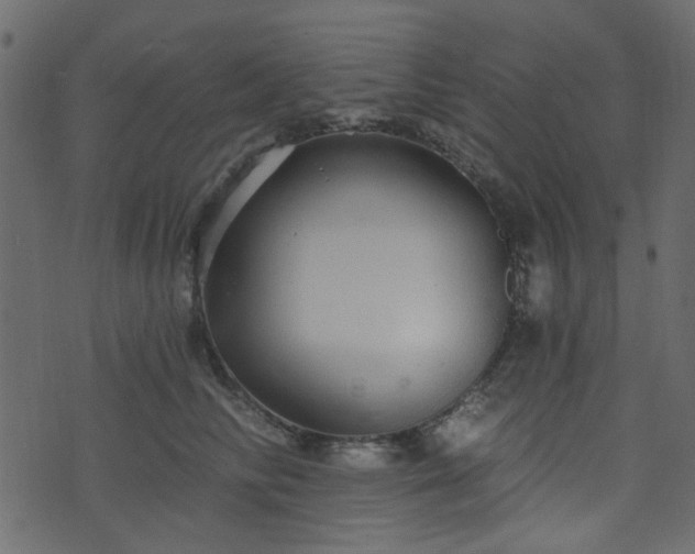 X0000070860710200606231253