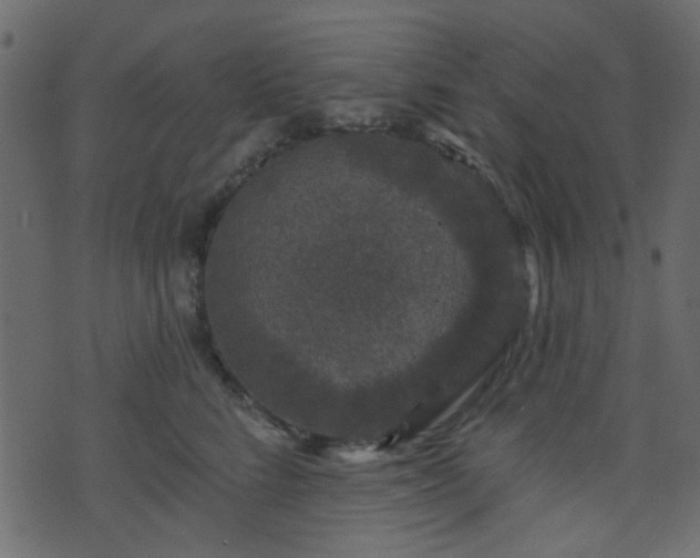 X0000070860712200606231253