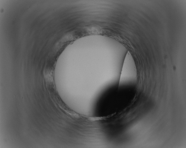 X0000070860713200606231253