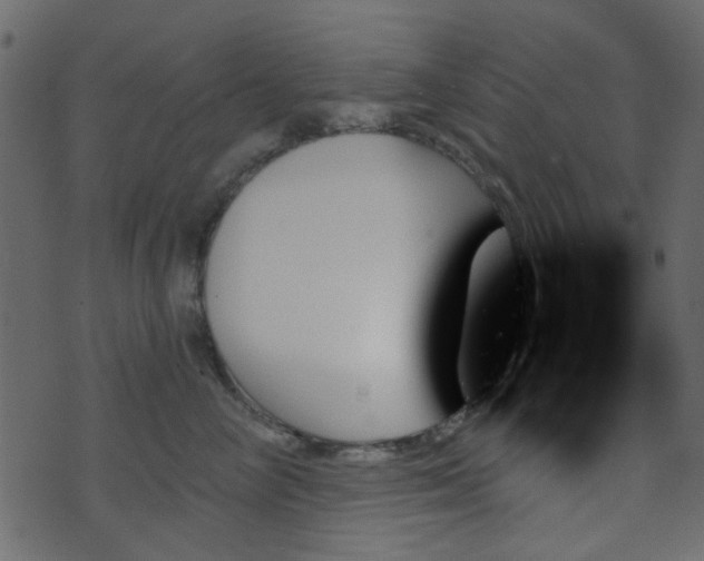 X0000070860714200606231253