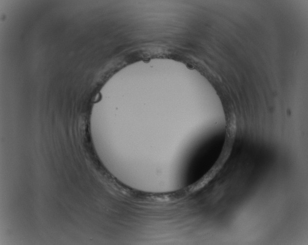 X0000070860715200606231253