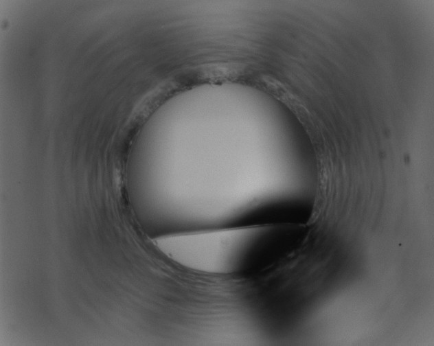 X0000070860716200606231253