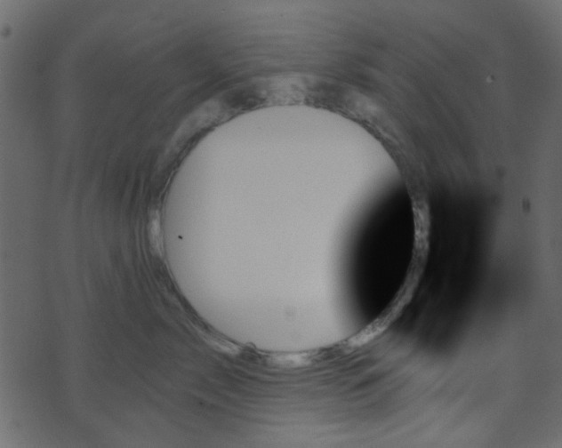 X0000070860717200606231253