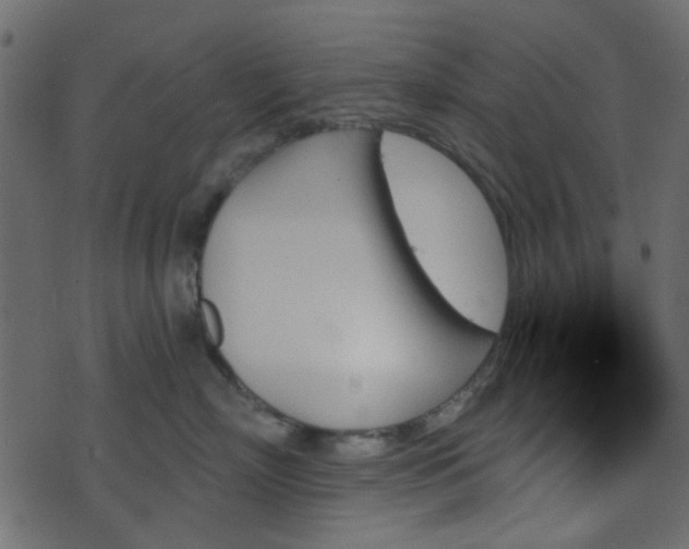 X0000070860718200606231253