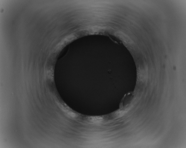 X0000070860719200606231253