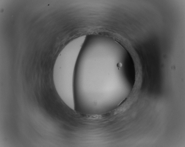 X0000070860720200606231253