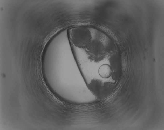 X0000070860721200606231252