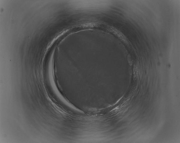 X0000070860722200606231252