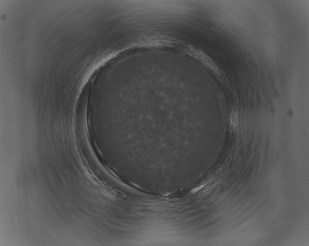 X0000070860724200606231252