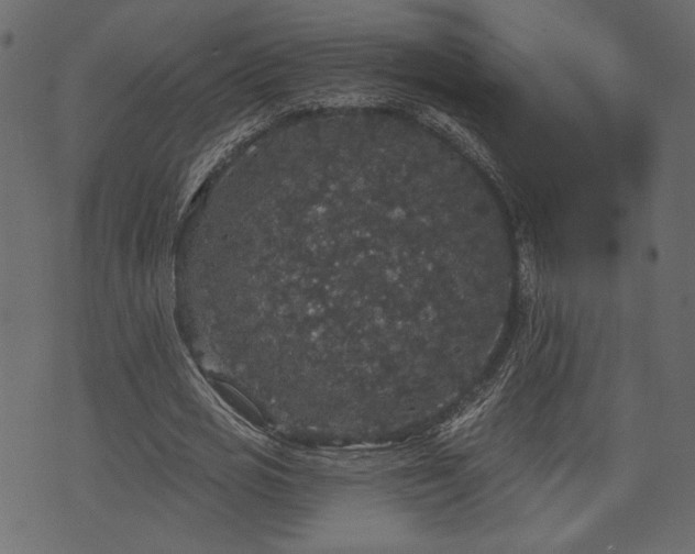 X0000070860725200606231252