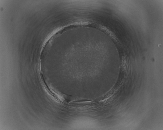 X0000070860726200606231252