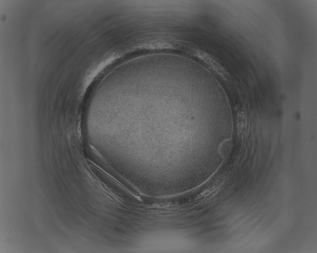 X0000070860727200606231252