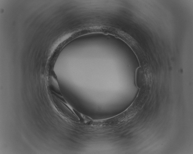 X0000070860728200606231252