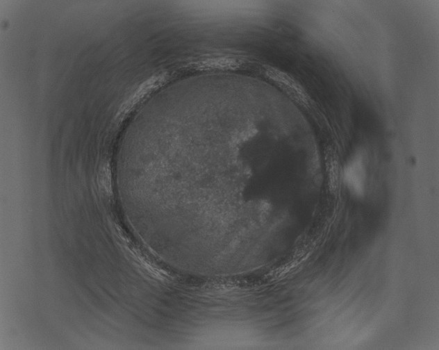 X0000070860729200606231252