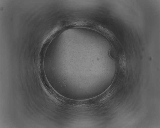 X0000070860730200606231252